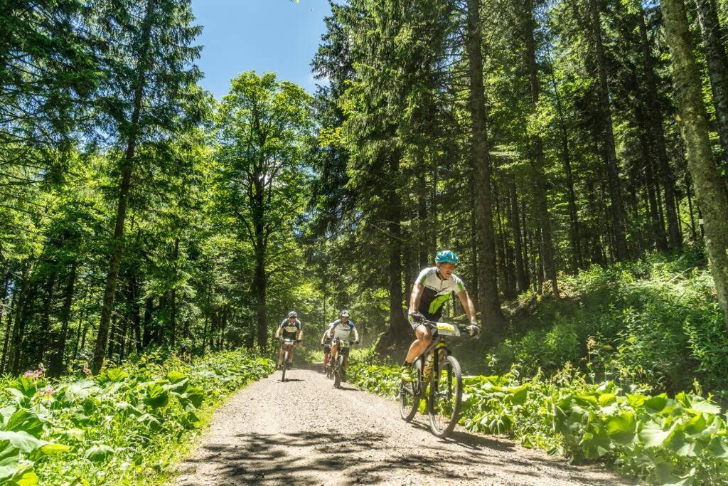 Waldoase Titisee Kültér fotó