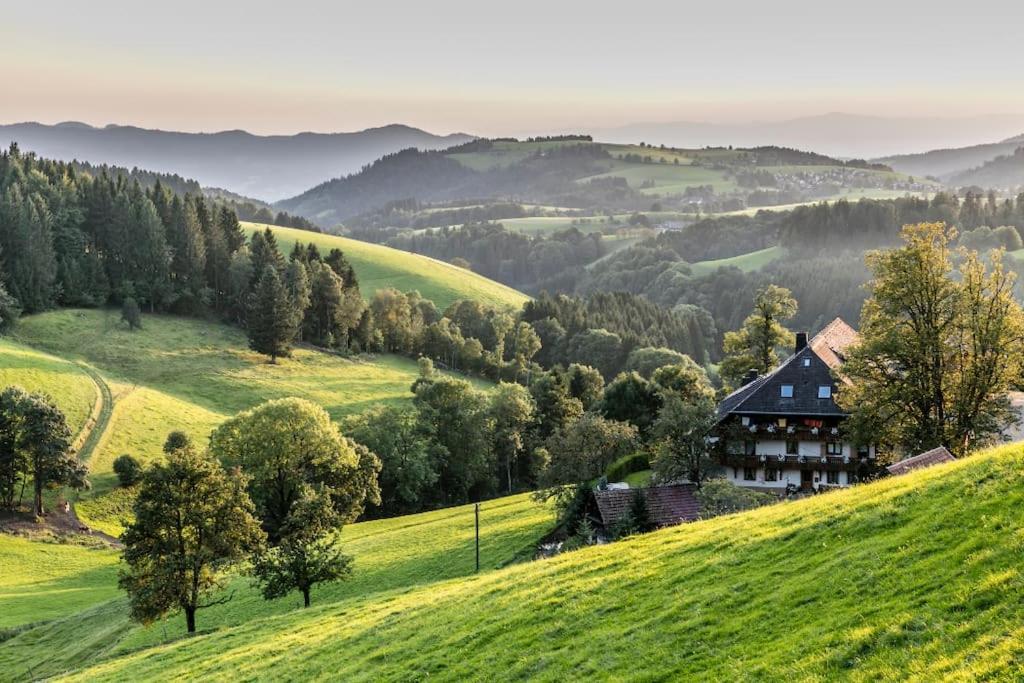 Waldoase Titisee Kültér fotó