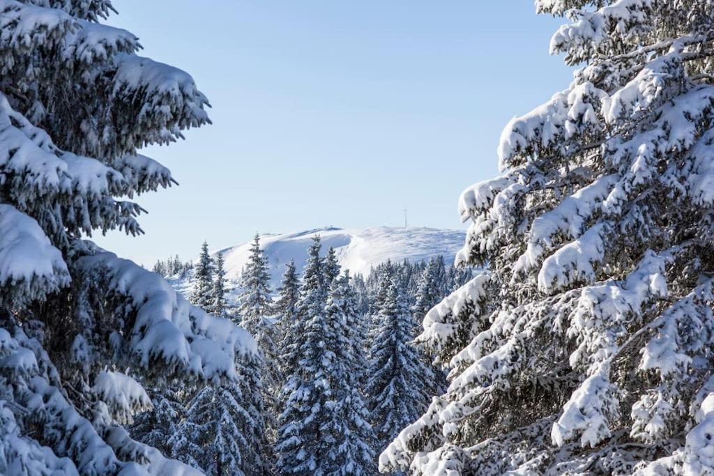 Waldoase Titisee Kültér fotó