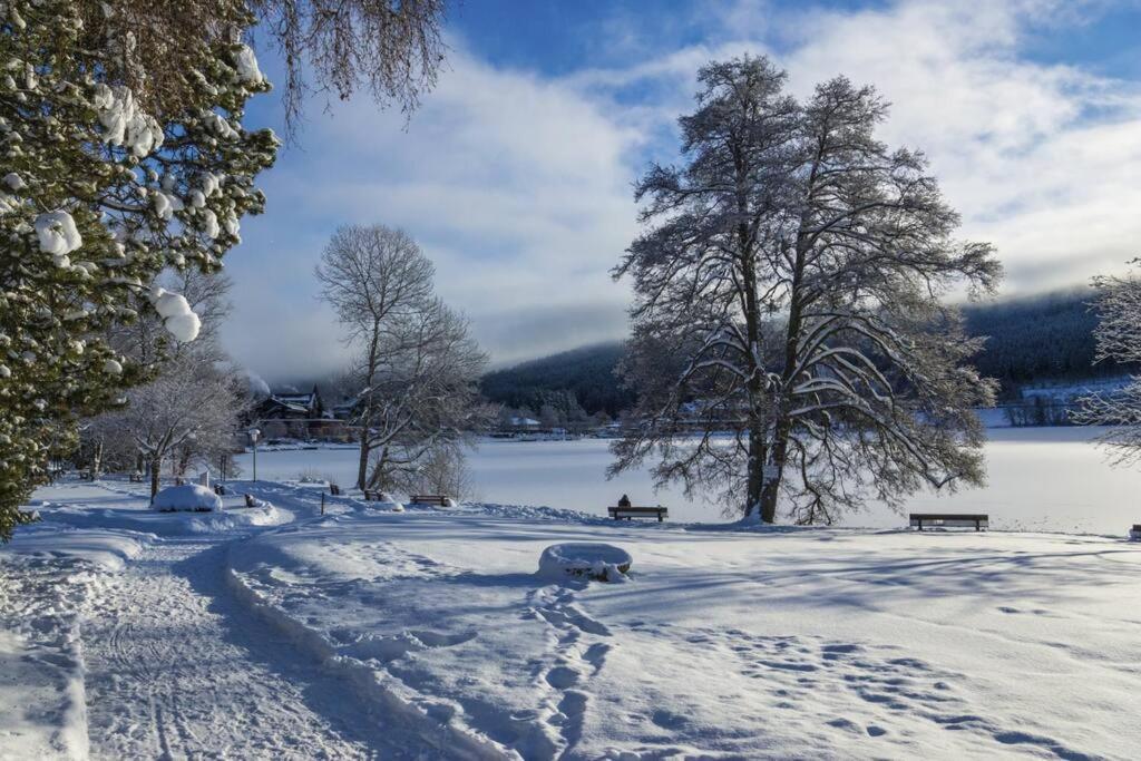 Waldoase Titisee Kültér fotó