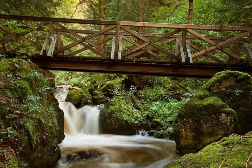 Waldoase Titisee Kültér fotó